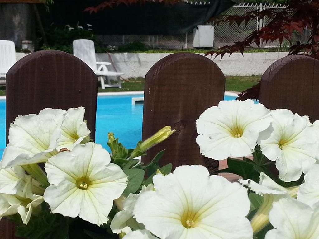 B&B Desenzano Desenzano del Garda Luaran gambar