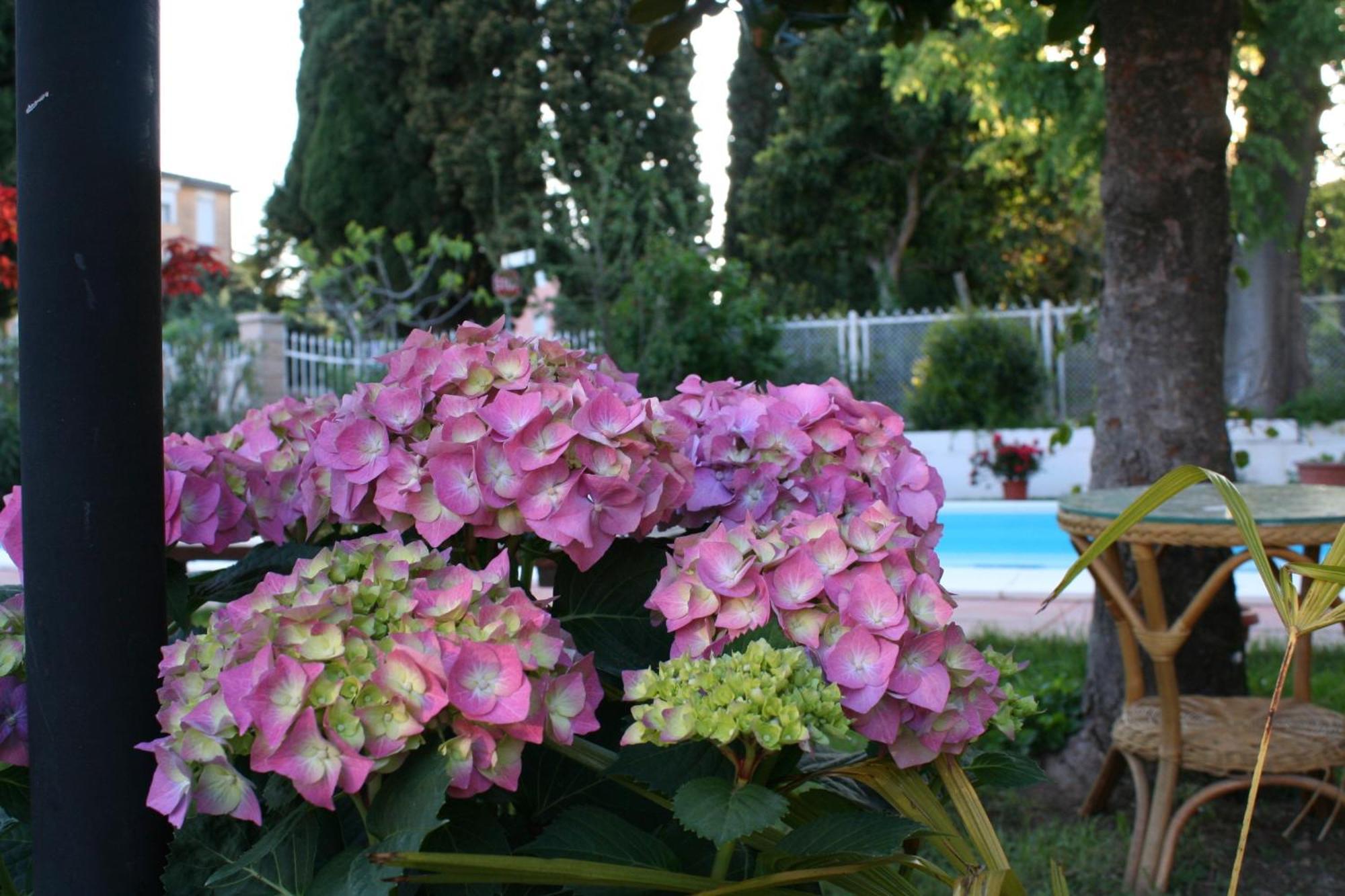 B&B Desenzano Desenzano del Garda Luaran gambar