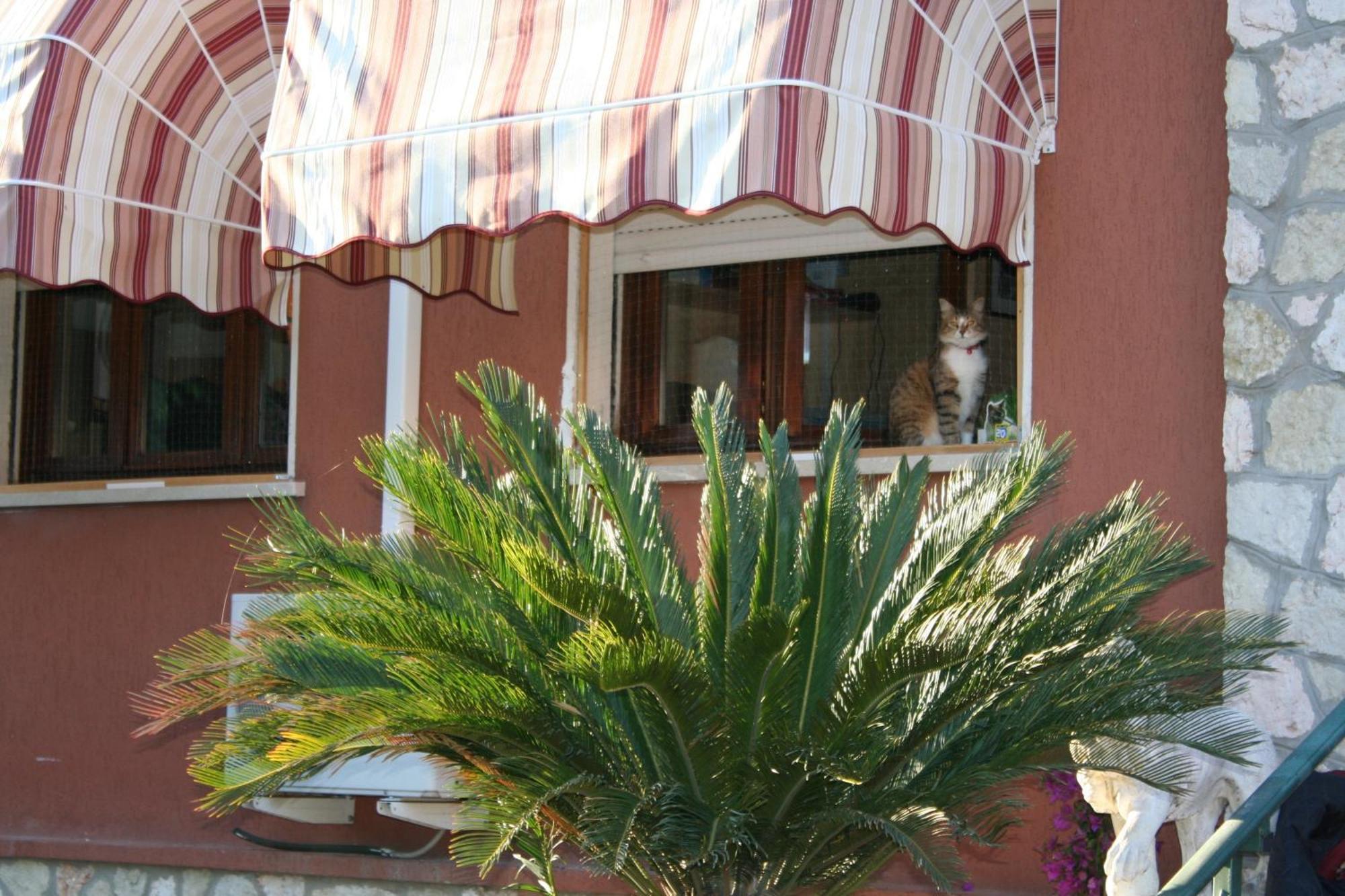 B&B Desenzano Desenzano del Garda Luaran gambar