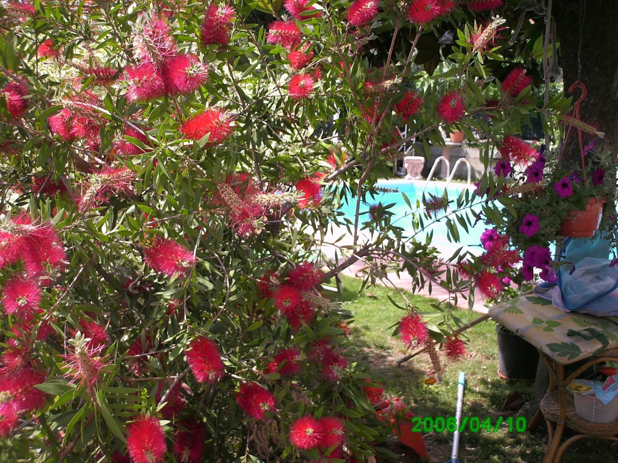 B&B Desenzano Desenzano del Garda Luaran gambar