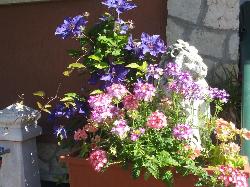 B&B Desenzano Desenzano del Garda Luaran gambar